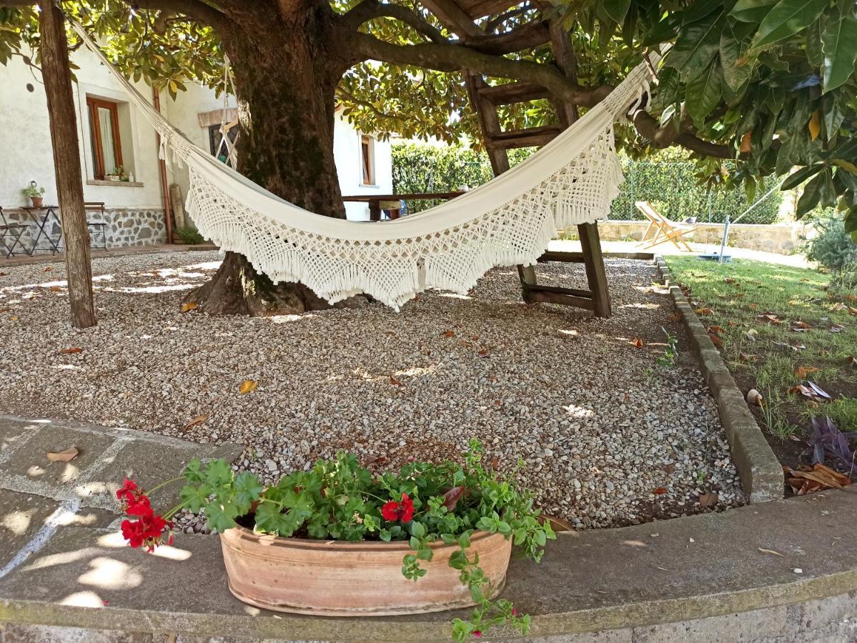 B&B Sole Mio Velletri Exterior photo